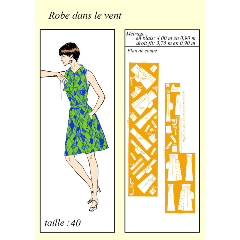 Robe dans le vent 1966